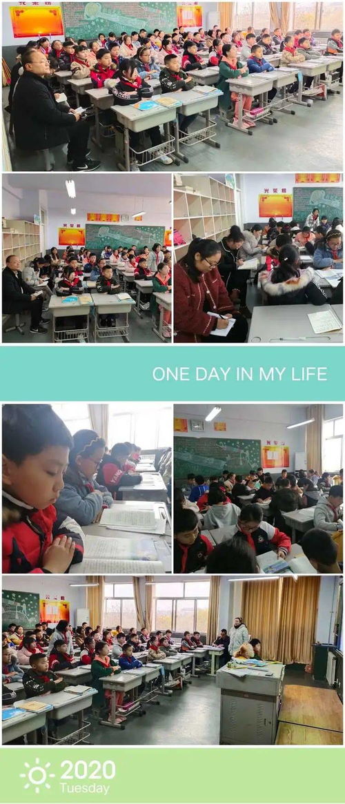 教学视导为引领 检查交流促提升——临沂启阳小学迎接幸福小学教学视导