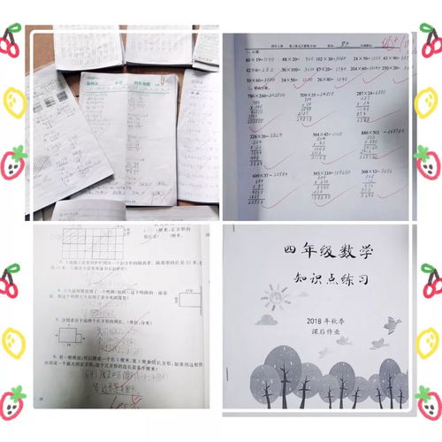 抓作业 促常规 记丰泽区第七中心小学期末教学常规检查